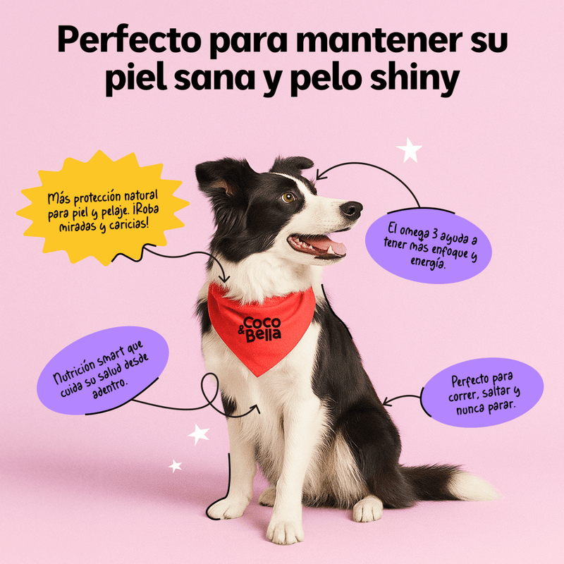 Aceite de Salmón con Omega 3 - How to use